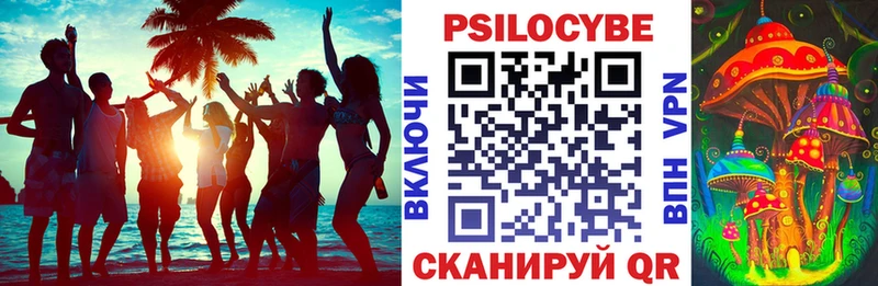 Псилоцибиновые грибы Psilocybine cubensis  где найти   Семикаракорск 